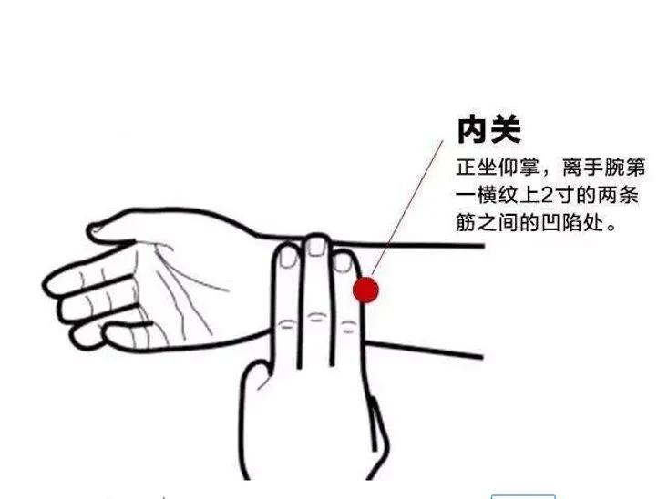 三一二经络锻炼法穴位,三一二经络锻炼法是指