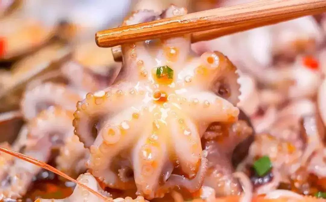 迎春活动促销,迎春花市嘉年华