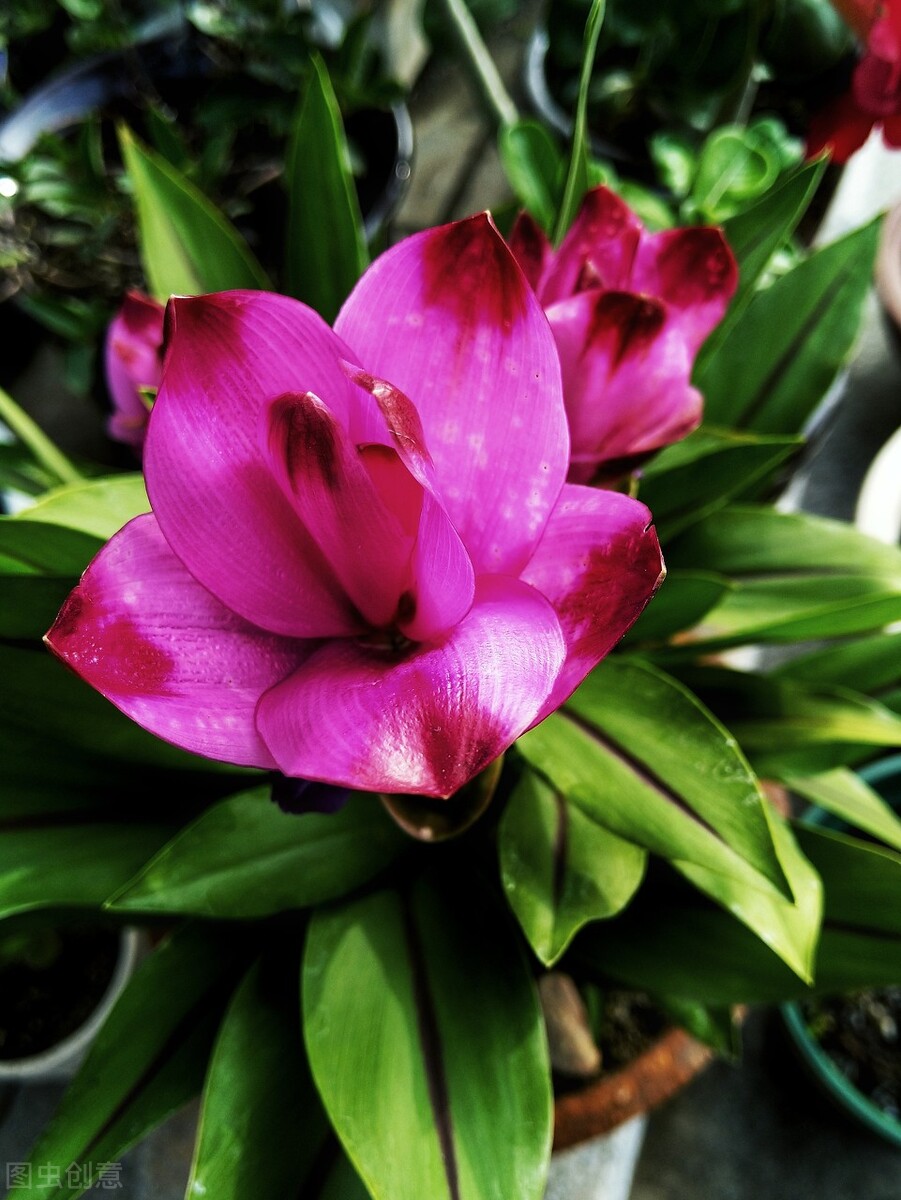 遇见花开深圳,遇见花开鲜花派对