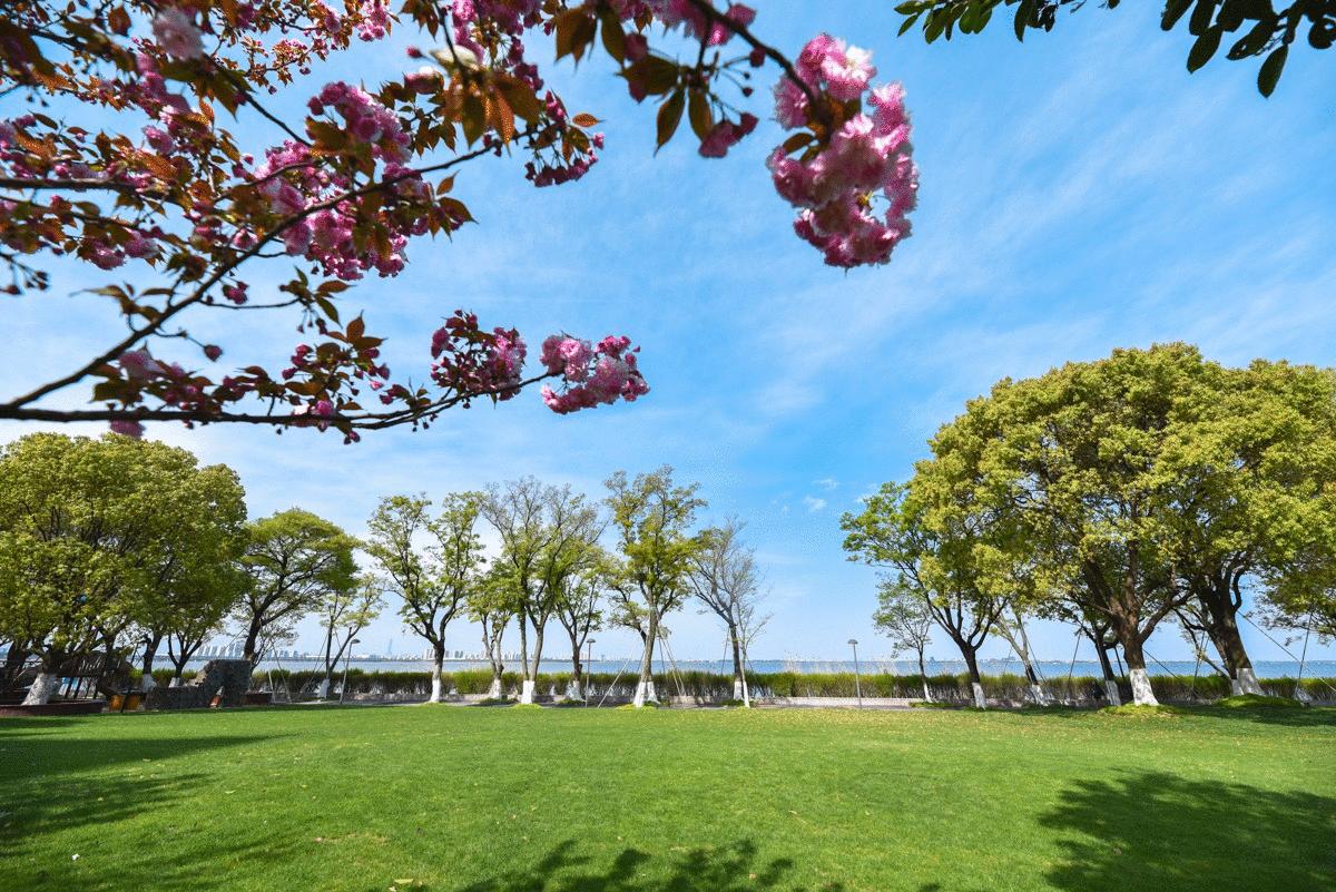 国际顶级五星“费尔蒙”，中国第一家落户阳澄湖大闸蟹故乡