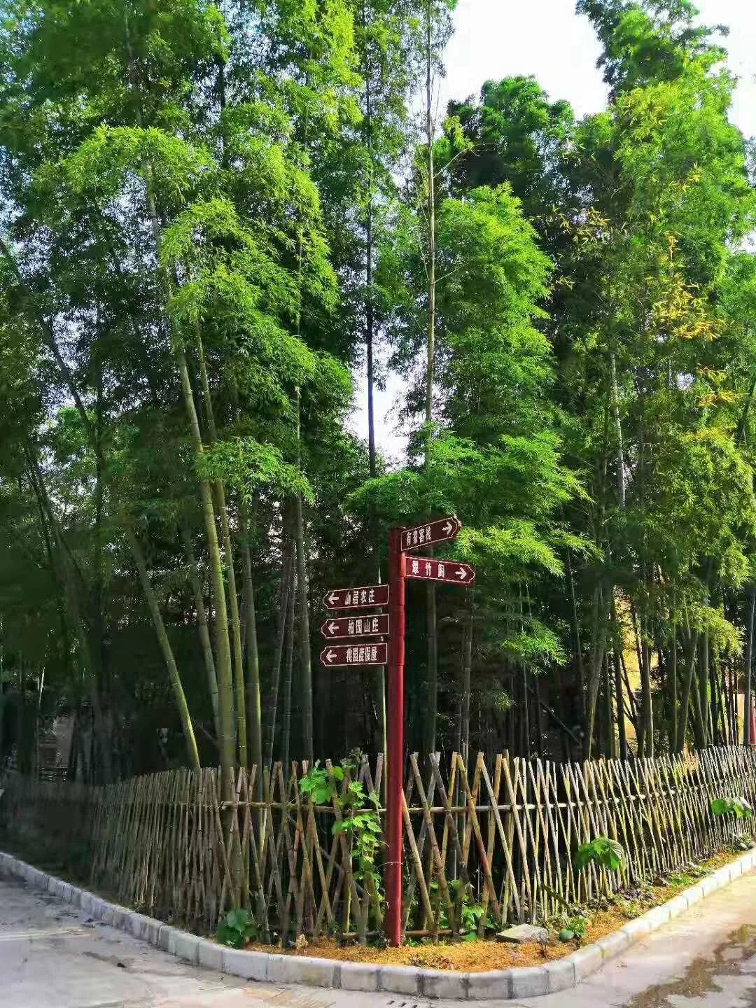 森呼吸运动乐园乘车路线,森呼吸好玩吗