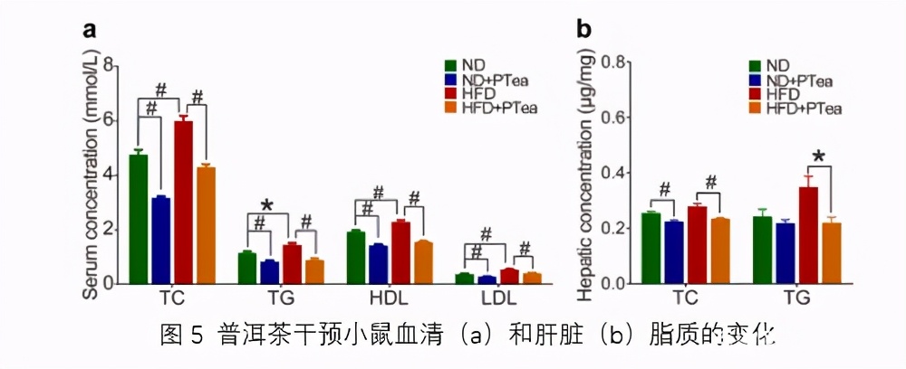预防三高的中药粉,预防胆固醇和甘油三酯过高药物