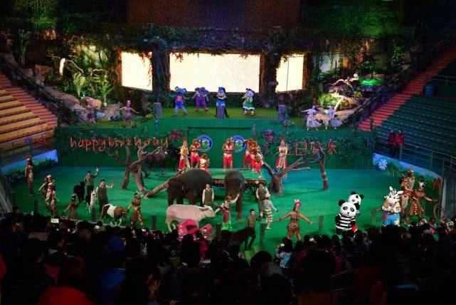 去广州旅游攻略长隆动物园,亲子游广州长隆动物园