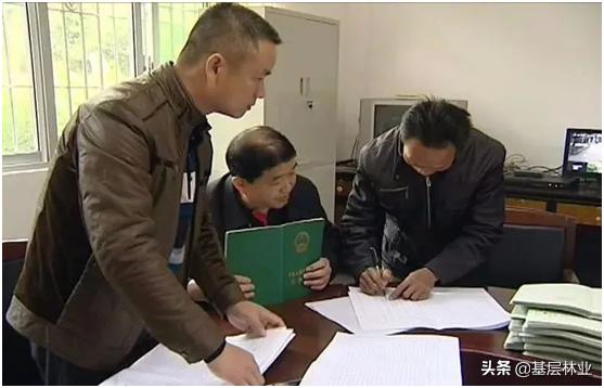 农村山林证遗失能补办吗,农村山林土地证遗失怎么办