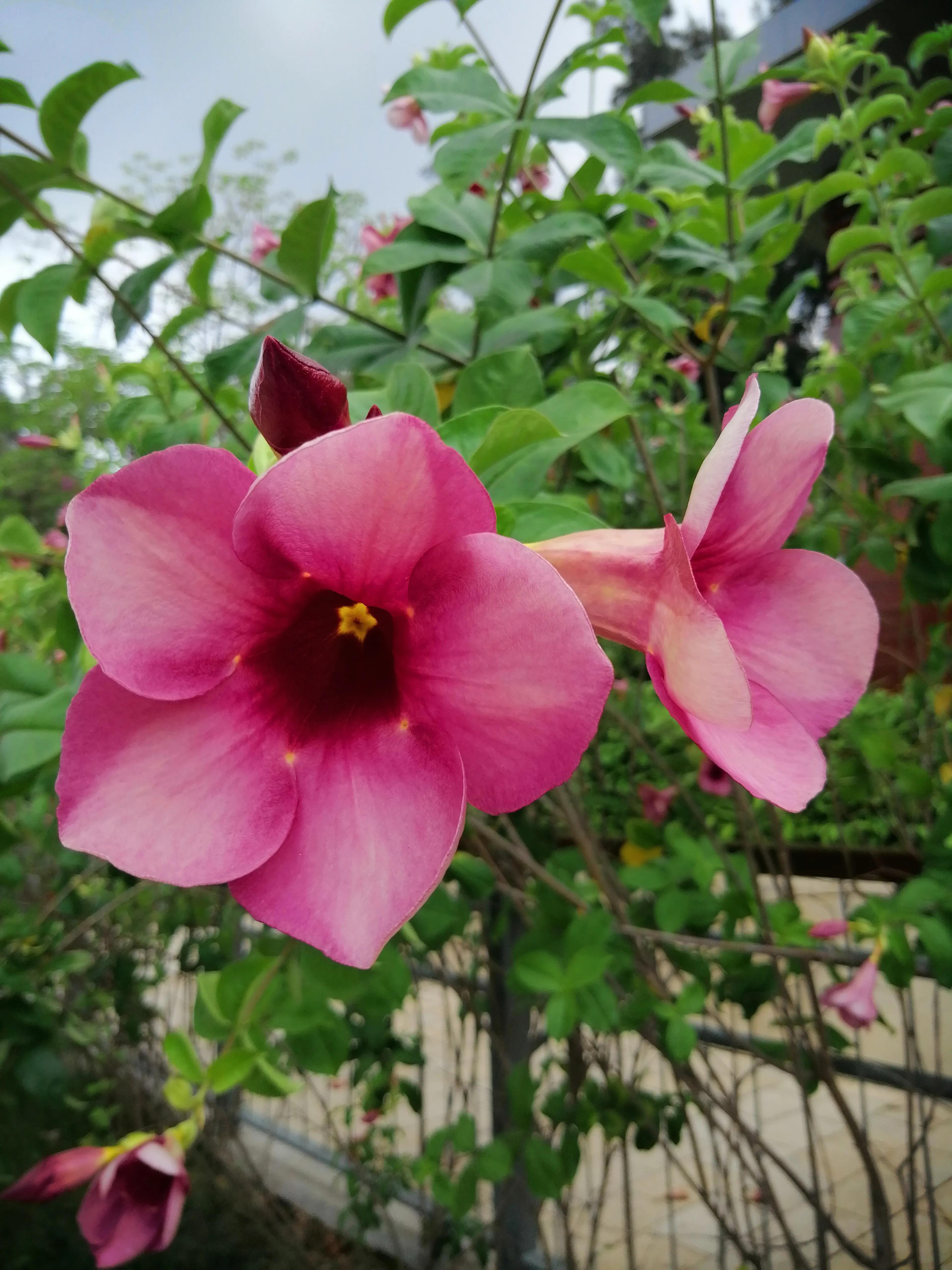 真爱遇到了是庆幸遇不到也正常,真爱难遇到错过了会遗憾一生