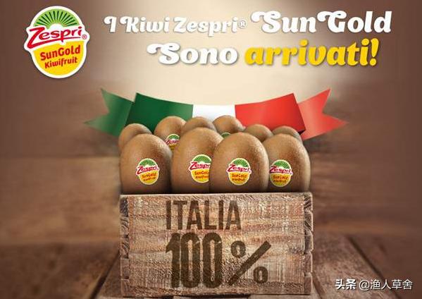 新西兰进口奇异果猕猴桃,猕猴桃新西兰进口
