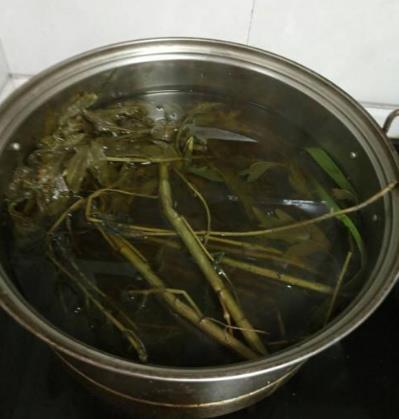 可以给宝宝用艾草洗澡吗,给宝宝洗澡能放几滴风油精吗