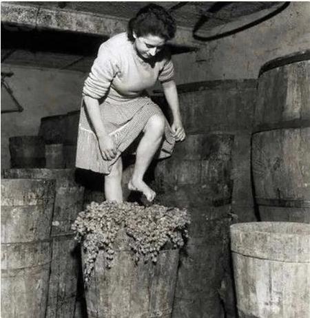 五张历史照片,秤杆上是奴隶妇女在挣扎,铁链锁住被贩卖的土著人