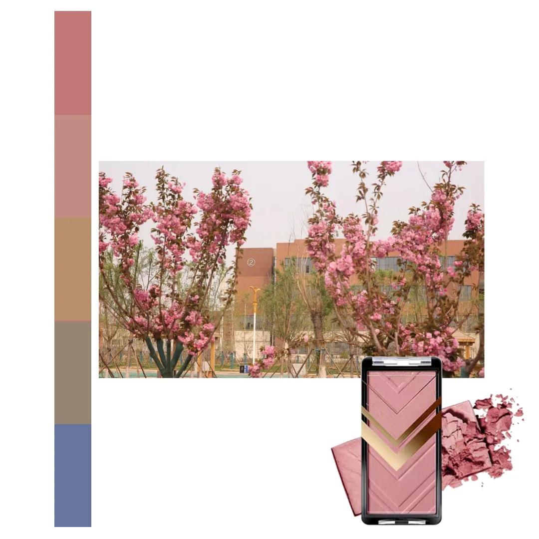 鐩存挱閭兏娌冲寳宸ョ▼澶у,娌冲寳宸ョ▼澶у缇庡