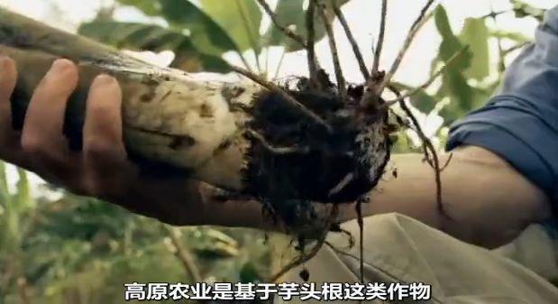 这次疫情让世界明白中国的重要性,到今天疫情怎么样了