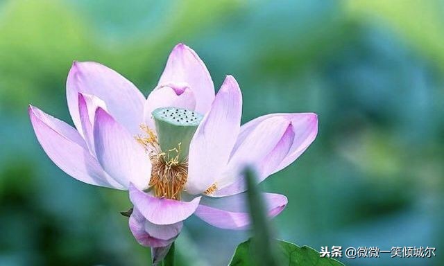 智慧语录，哲学语录，短句子也适合做签名，发朋友圈，高格调！