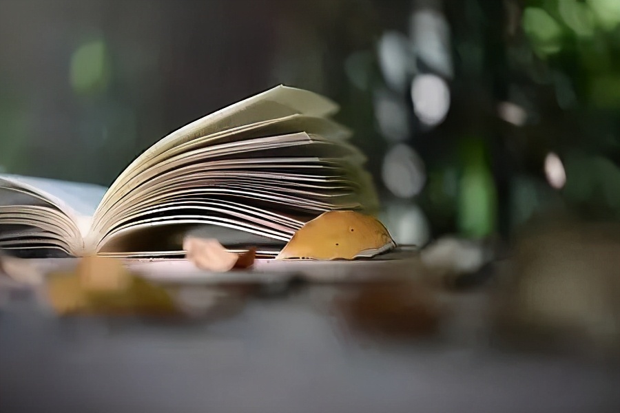 给暖暖讲了三年大语文,我发现可能连方向都走错了