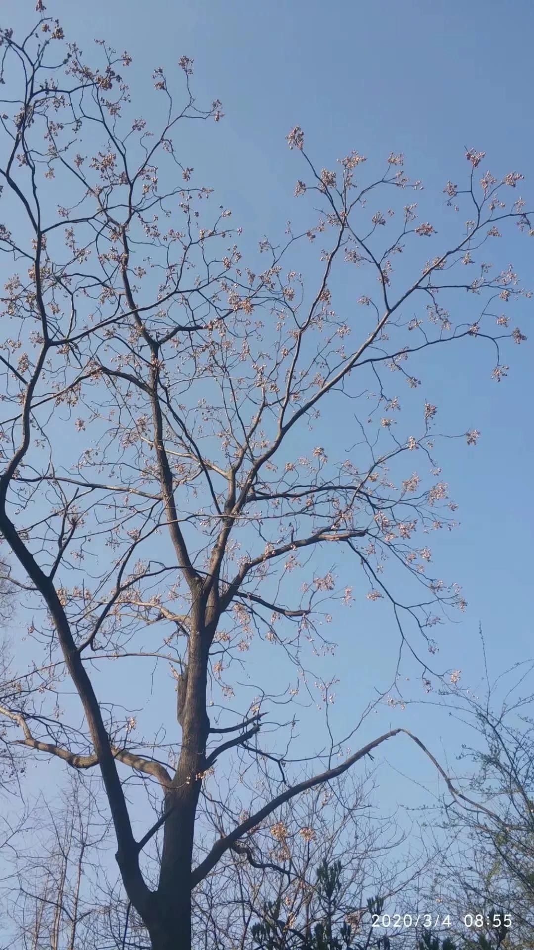 秋天的思念全部歌曲,秋天的思念钢琴曲