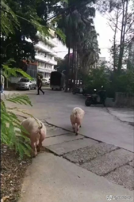 真的服了！北京2154万人口，我打个车都能拼到前男友……