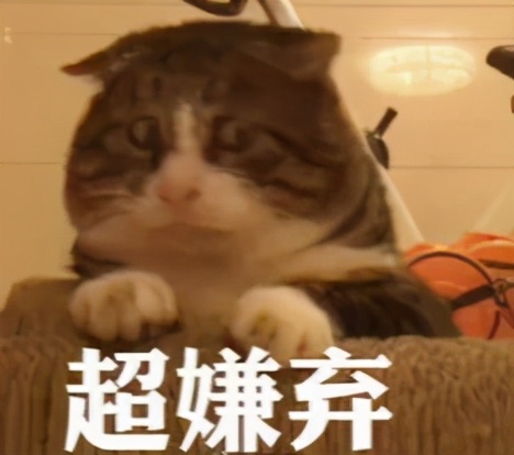 情侣大床房还是双人床,情侣住酒店该不该住大床房