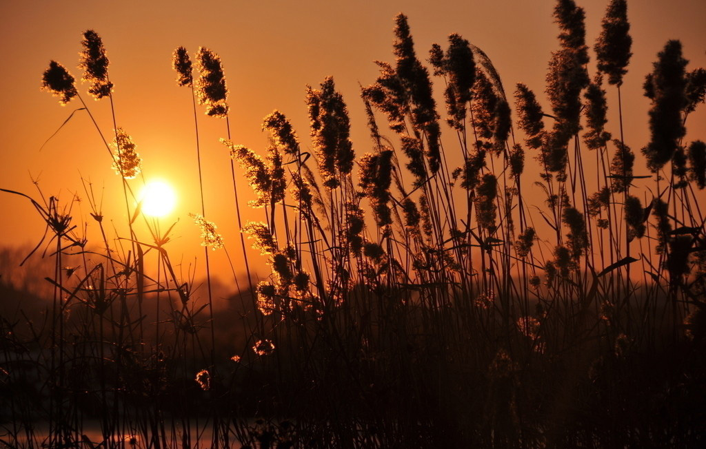 心理学中讨厌自己是什么原因,心态差的心理学