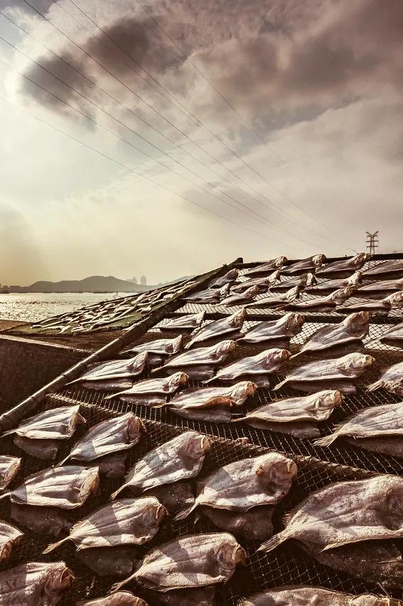 谁，才是包邮区的“海鲜帝国”？