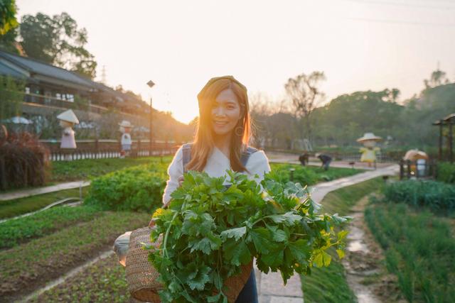 深圳民国风打卡景点,深圳安静的旅游小镇