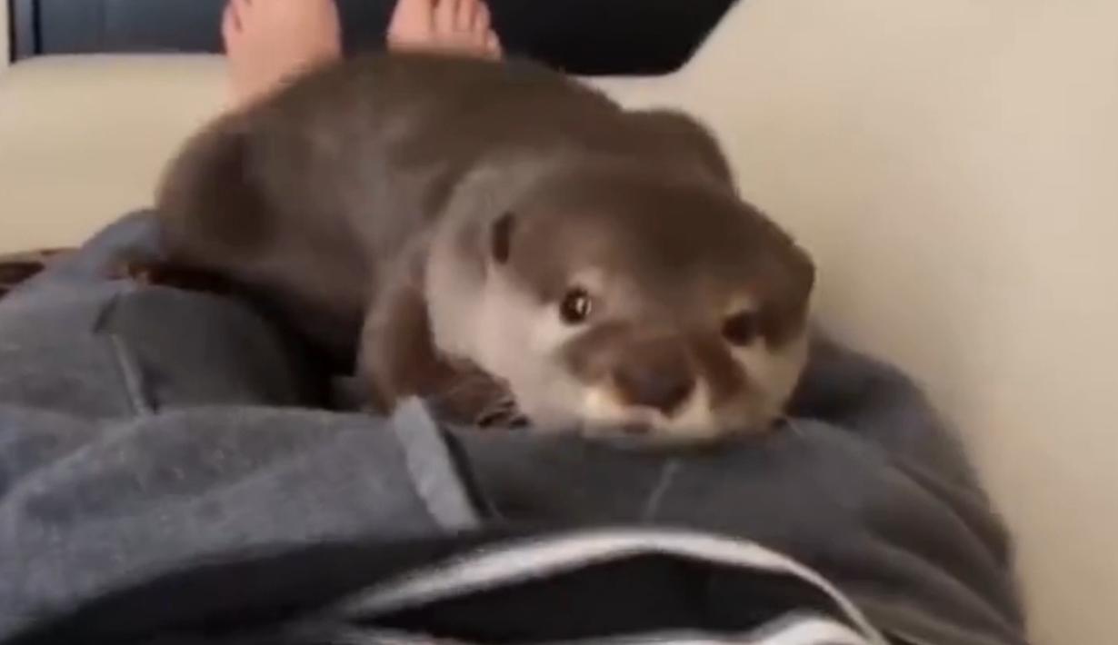 传说中的“水鬼”竟然被抓住,看到水鬼的面目,网友:长见识了