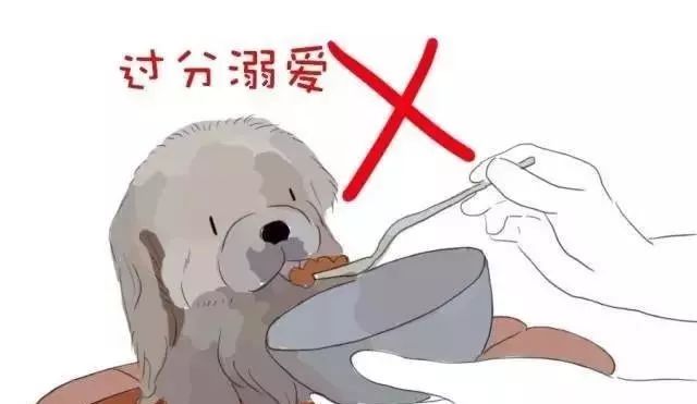 狗狗的行为突然很反常怎么回事,狗狗的行为有什么要纠正