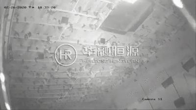 秋天来了，养肺防燥，当属燕窝