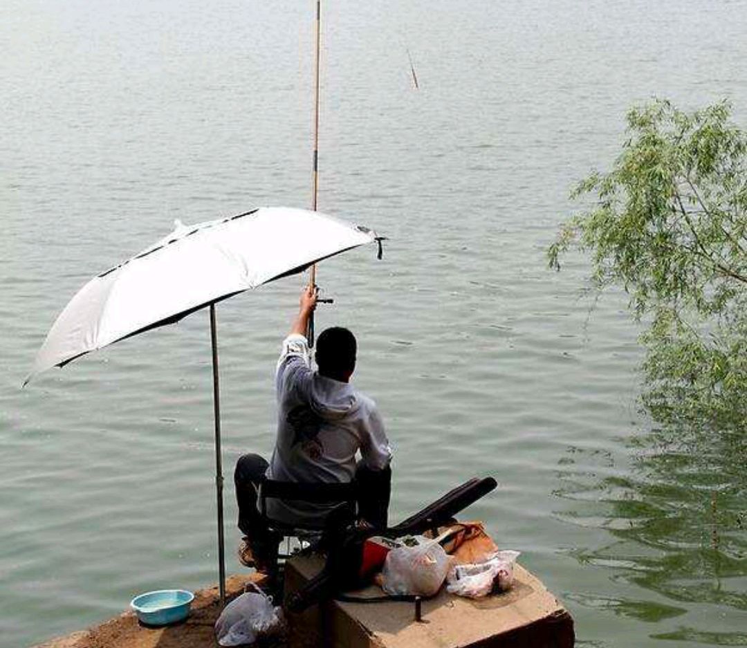 春季持续高温鱼不开口,天气太热鱼不开口有什么好的方法