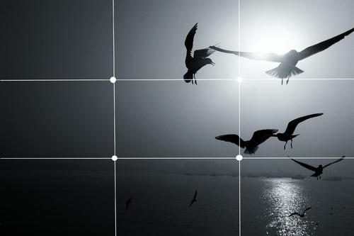 手机拍摄制作短视频教程,拍摄手机视频技巧教程