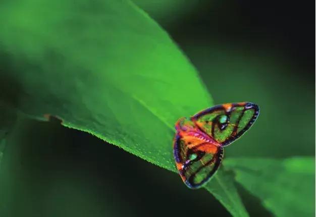 影视拍摄九格构图教程,九宫格人像构图拍照片技巧