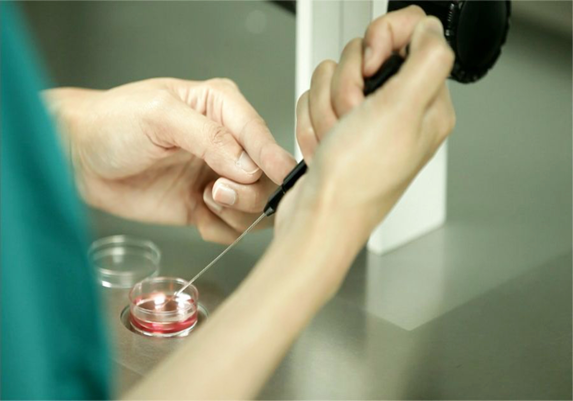 试管婴儿寿命短是真的吗,试管婴儿的寿命短是真的吗