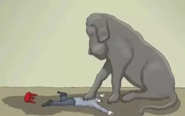 米拉外教口语,米拉外教有用吗