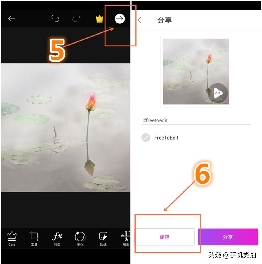 荷花开放加人像特效,荷花特效加照片