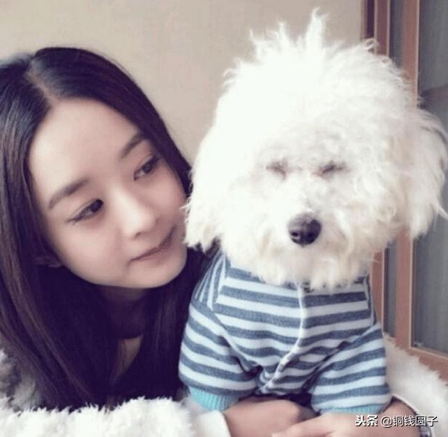娱乐圈那些感人的事,明星与宠物的感人瞬间
