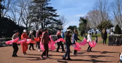 中国大妈们在国外跳广场舞,中国大妈在温哥华商场跳广场舞