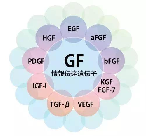 城野医生377精华反黑,城野医生精华合集测评