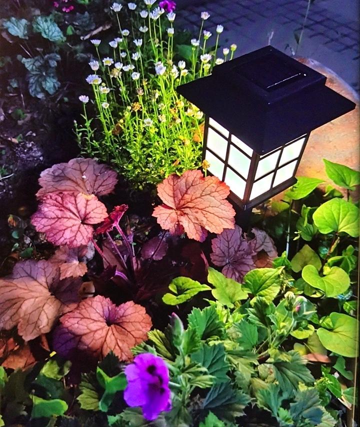 如何打造花园屋顶,超实用的屋顶花园