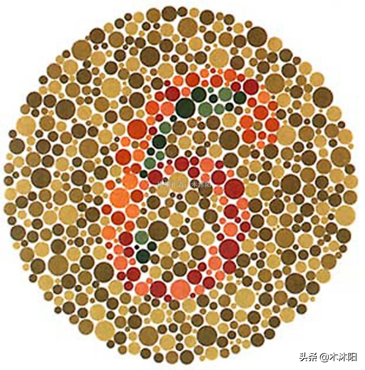 最新版色觉检测图，考驾照必备，这4张图若看错，驾照可能考不了