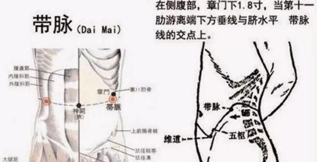 健身一年体脂有点高该怎么刷脂,健身刷脂餐食谱一日三餐