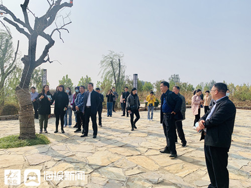 乡村振兴看沂蒙,兰陵市级美丽乡村示范片区