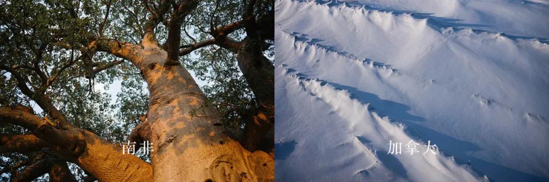 f4重聚跨年,f4重聚