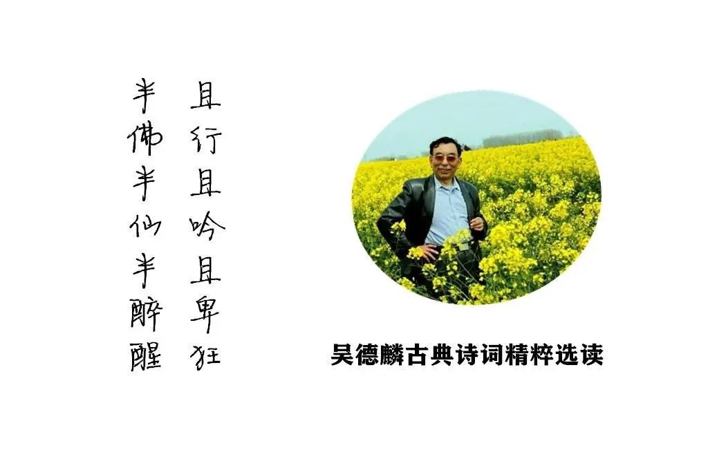 水调歌头荷花,水调歌头游览朗诵