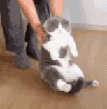 支原体感染治疗期间怀孕了怎么办,支原体感染在备孕中一定要治好吗