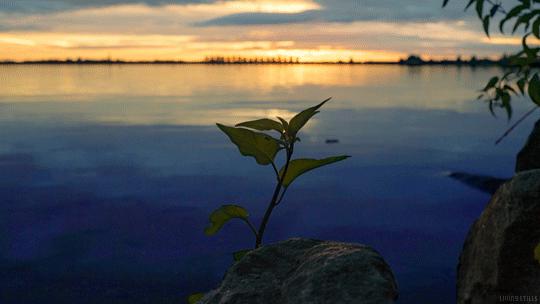 如何放下对失眠恐惧,如何克服内心恐惧进入催眠状态