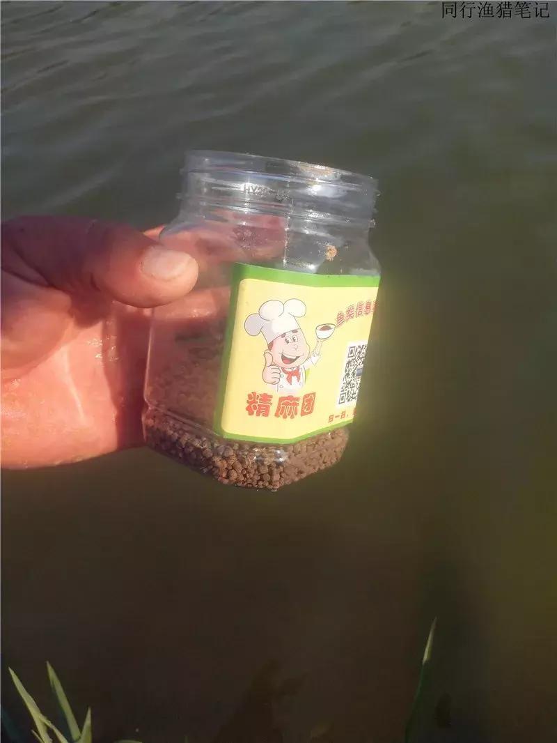 钓鱼日记第19天,钓鱼游钓日记100篇