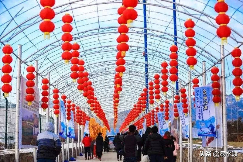 元旦怎么过才好看,没休息的元旦怎么过