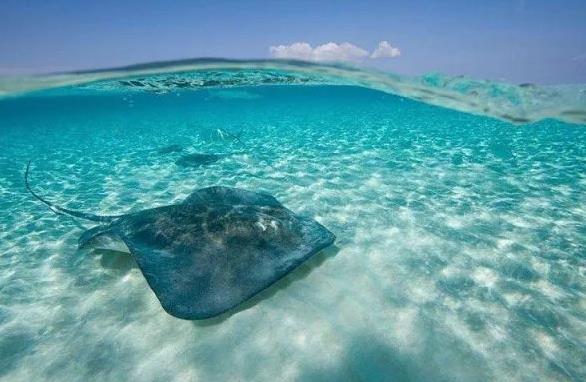 注册离岸公司优缺点,注册香港离岸公司