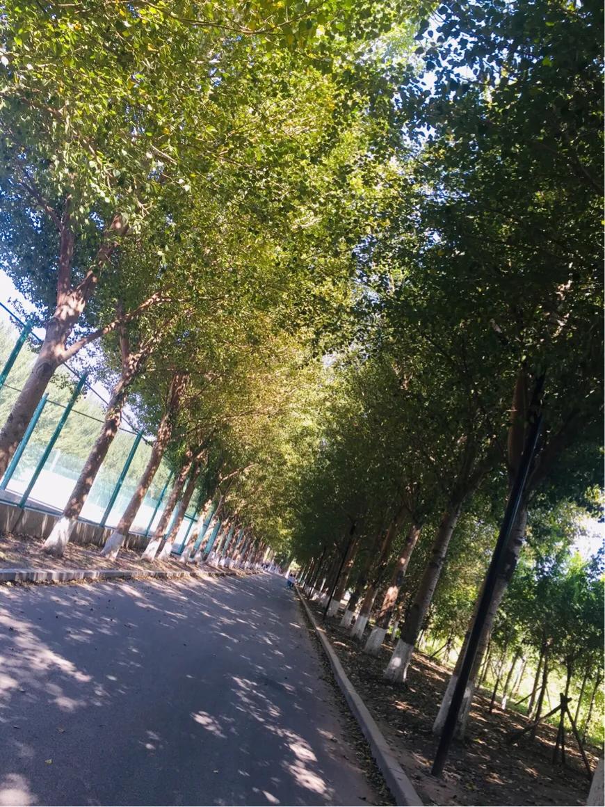 生活的琐碎平淡,生活的琐碎