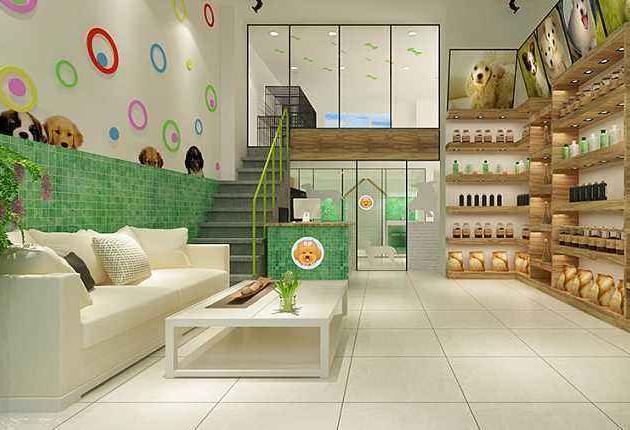 法国斗牛犬犬舍哪家好些,哪家宠物店买法国斗牛犬最好