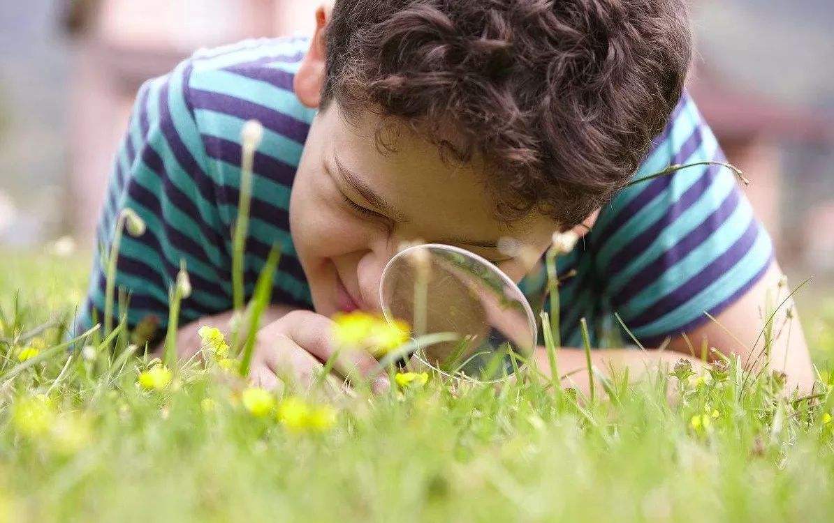 家长适时放手对孩子成长影响,想让孩子变聪明玩什么最好