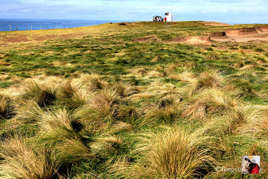 新西兰有哪些景观,新西兰风景最好的地方在哪里