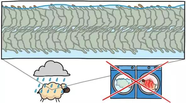 被洗缩水的羊毛衫还有救么,100%绵羊毛羊毛衫怎么清洗防缩水
